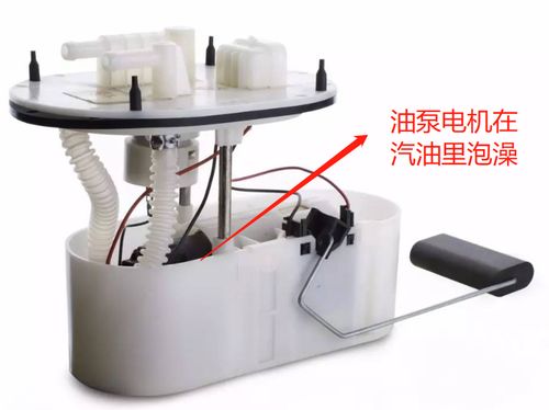 汽车加油每天多少升